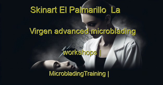 Skinart El Palmarillo  La Virgen advanced microblading workshops | MicrobladingTraining | MicrobladingClasses | SkinartTraining-Mexico